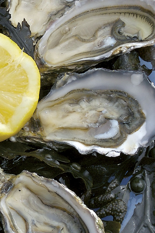 Huîtres fraîches au citron