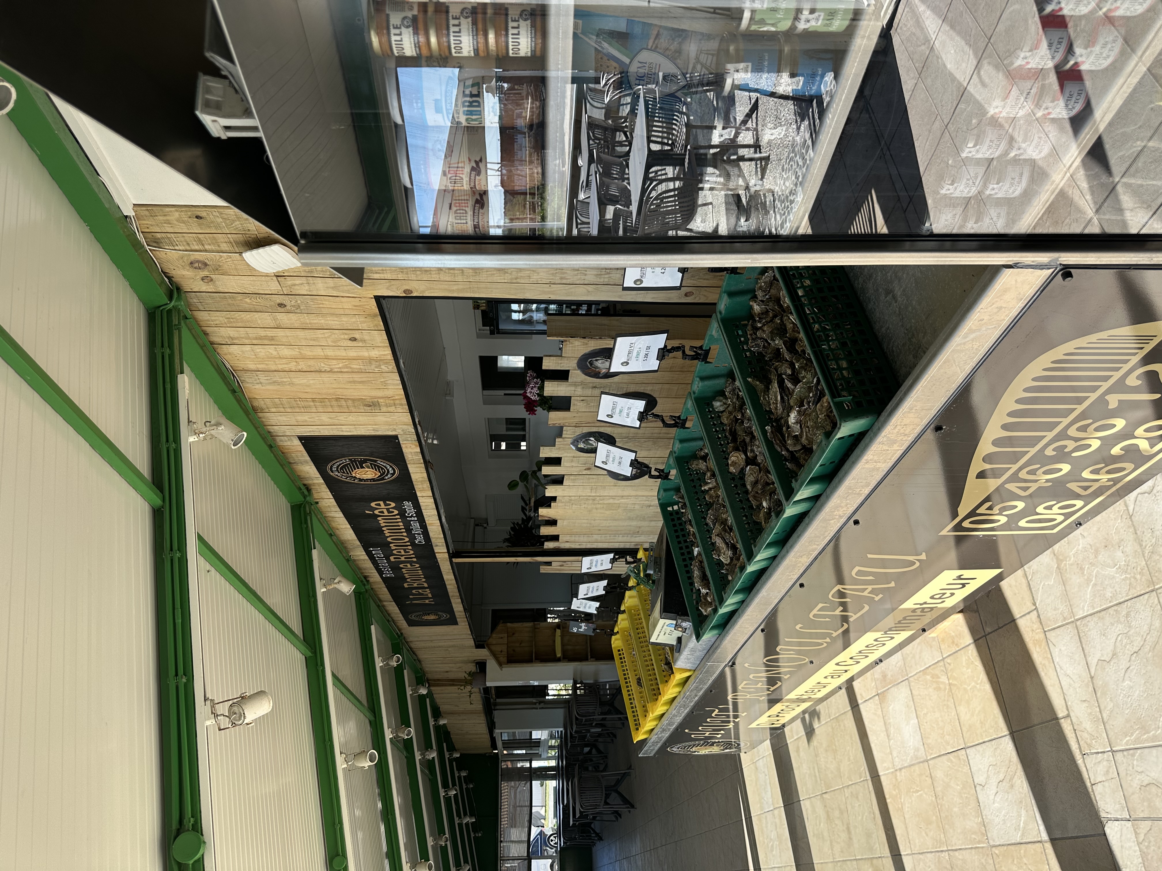 Étalage d'huîtres fraiches - Vente directe